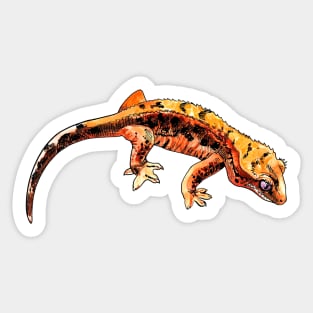 gecko Sticker